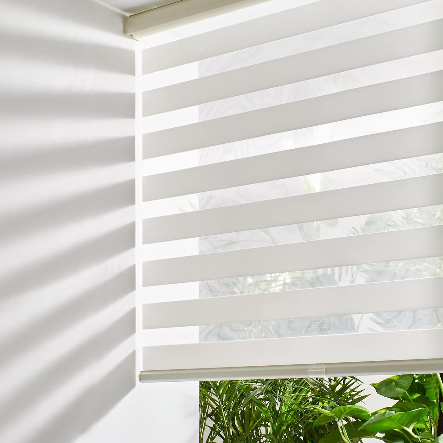 Persilux Cordless Zebra Blinds for Indoor Windows, Free-Stop Cordless, Light Filtering Sheer Shades Dual Layer for Day and Night, Roller Shades for Home (35.5" W X 64" H, Cream)